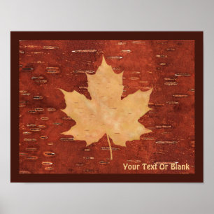 Poster Maple Leaf On Inner Birch Bark