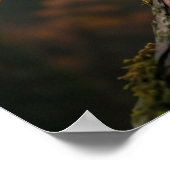 Poster Maple Owl Autumn Glow (Coin)