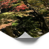 Poster Maples colorées vives (Coin)