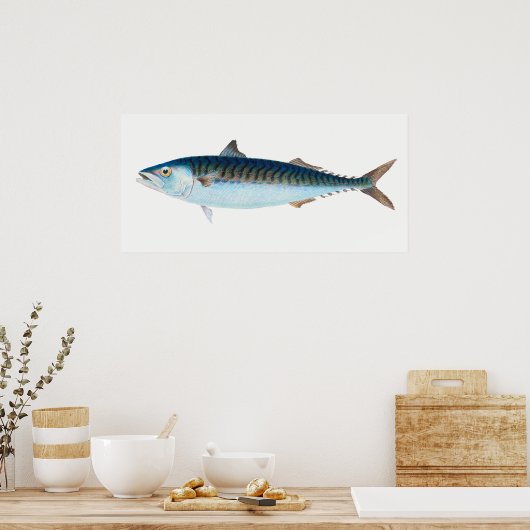 Poster Maquereau poisson art vintage (Cuisine)