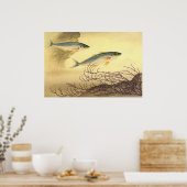 Poster Maquereau Poisson nager dans l'océan (Cuisine)