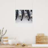 Poster Maquereau, prises fraîches du jour (Cuisine)