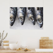 Poster Maquereau, prises fraîches du jour (Cuisine)