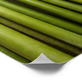 Poster Maquette de Bamboo Zen (Coin)