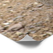 POSTER MARA PATAGONIEN (Coin)