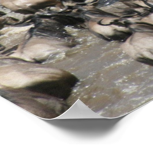 Poster mara wilde (Coin)