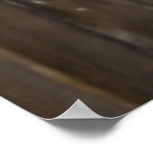 Poster Marabou Stork (Coin)