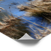 Poster Marais Au Printemps Orton Art Nature (Coin)