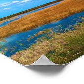 Poster Marais de Floride, Herbe des marais, Ciel et refle (Coin)