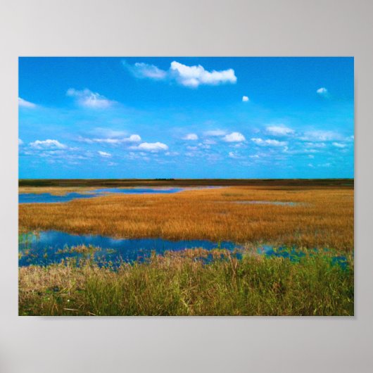 Poster Marais de Floride, Herbe des marais, Ciel et refle (Devant)