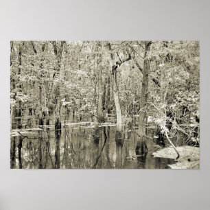 Poster Marais de la Nouvelle-Orléans