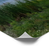 Poster Marais d'eau de grande tempête en Caroline du Sud (Coin)