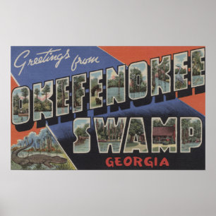 Poster Marais d'Okefenokee, la Géorgie - grandes scènes