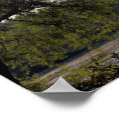 Poster Marais Et Arbre Serene Nature (Coin)