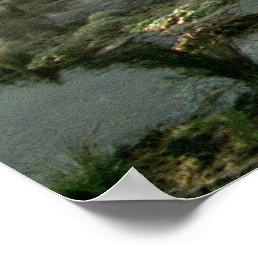 Poster Marais morts (Coin)