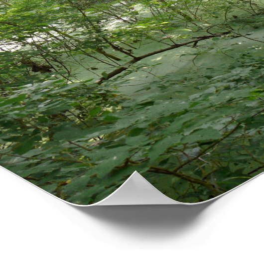 Poster Marais naturel (Coin)