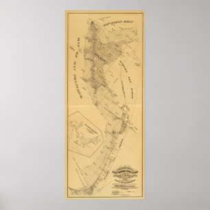 Poster Marais salé de la baie de San Francisco