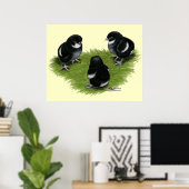 Poster Marans Cuivre noir Chicks (Bureau à domicile)