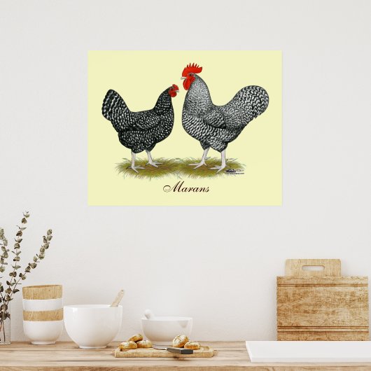 Poster Marans : Paire de cacao (Cuisine)