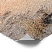 Poster Marbles de Devils, Australie (Coin)