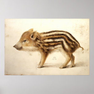 Poster MARCASSIN / Dessins d'animaux