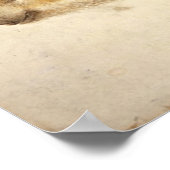 Poster MARCASSIN / Dessins d'animaux (Coin)