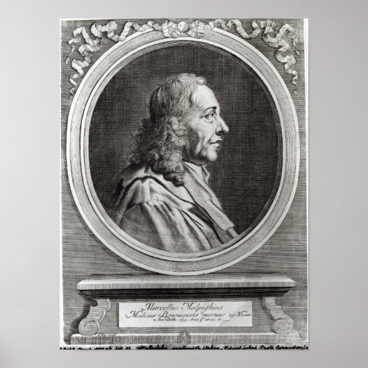 Poster Marcello Malpighi, 67 ans, 1694 (Devant)