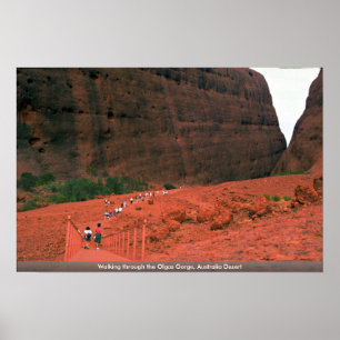 Poster Marchant par la gorge d'Olgas, désert de