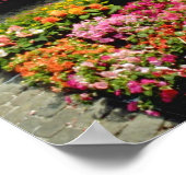 Poster Marché aux fleurs roses dans le carré principal, B (Coin)