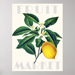Poster Marché aux fruits rétro moderne Fleur de citron