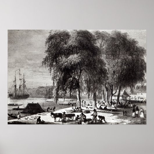 Poster Marché aux poissons, Paramribo (Devant)