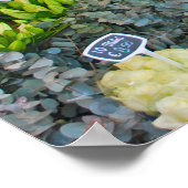 Poster Marché aux Tulipes et aux Fleurs à Amsterdam (Coin)