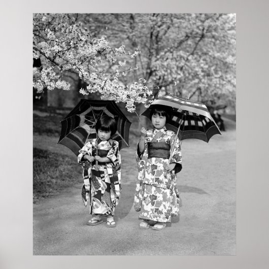 Poster Marche de cerisier en fleurs, 1925 (Devant)