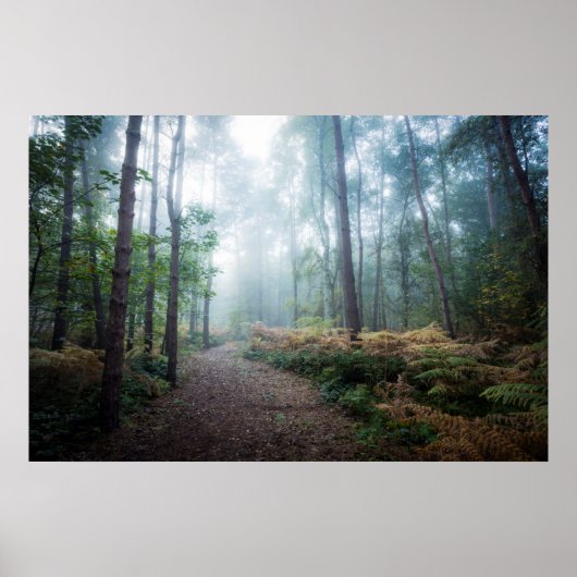 Poster Marche de la forêt de Misty (Devant)