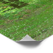 Poster Marche de la nature (Coin)