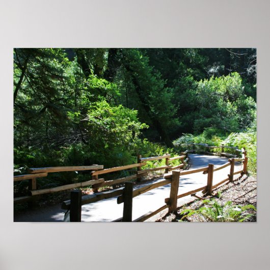 Poster "Marche de Muir Woods" (Devant)