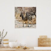 Poster Marche de Zebra (Cuisine)