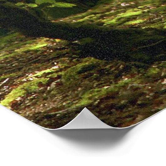 Poster Marche des bois (Coin)