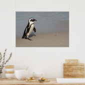 Poster Marche des pingouins africains (Cuisine)