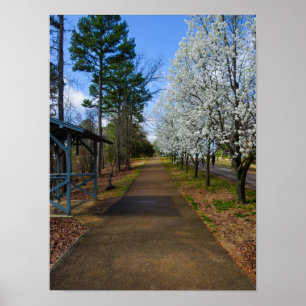 Poster Marche du printemps