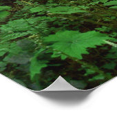 Poster Marche forestière GT 1 (Coin)
