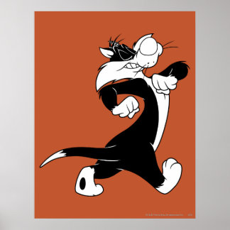 Poster Marche SYLVESTER™