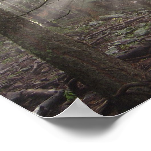 Poster Marcher à travers les nuages (Coin)