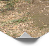 Poster Marcher avec le bambou (Coin)