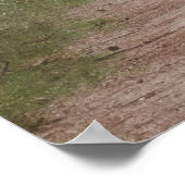 POSTER MARCHER AVEC LE SASQUATCH BIGFOOT - JE SAIS (Coin)