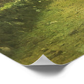 Poster Marcher le long de la forêt paisible Kozan-ji Kyot (Coin)