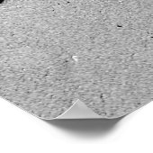 Poster Marches (Coin)