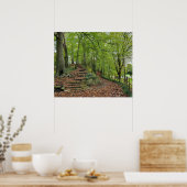 Poster Marches En Pierre Dans Les Bois (Cuisine)