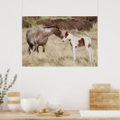 Poster Mare avec Colt (Cuisine)