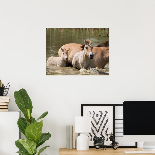 Poster Mare avec Foal Crossing a River (Bureau à domicile)